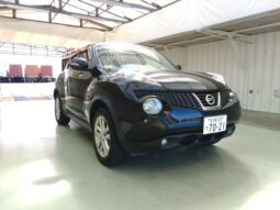 NISSAN JUKE 2011 [SUV]