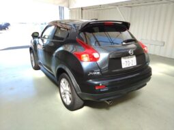 NISSAN JUKE 2011 [SUV] full