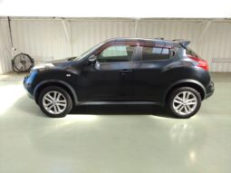 NISSAN JUKE 2011 [SUV]