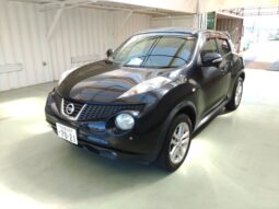 NISSAN JUKE 2011 [SUV]