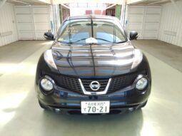 NISSAN JUKE 2011 [SUV]