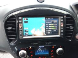 NISSAN JUKE 2011 [SUV] full