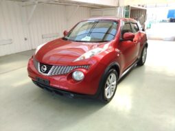 NISSAN JUKE 2012 [SUV]