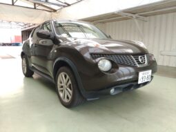 NISSAN JUKE 2010 [SUV]