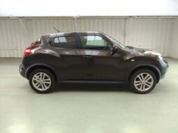 NISSAN JUKE 2010 [SUV]