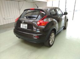 NISSAN JUKE 2010 [SUV] full