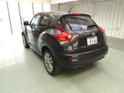 NISSAN JUKE 2010 [SUV] full