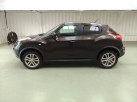NISSAN JUKE 2010 [SUV]