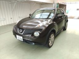 NISSAN JUKE 2010 [SUV]