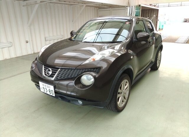 NISSAN JUKE 2010 [SUV] full