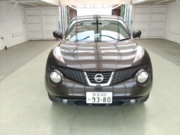 NISSAN JUKE 2010 [SUV]