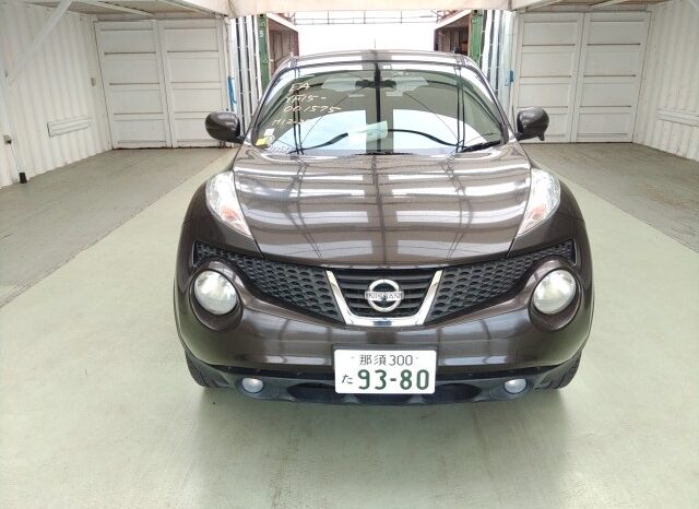 NISSAN JUKE 2010 [SUV] full