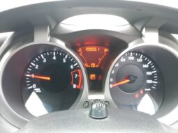 NISSAN JUKE 2010 [SUV] full