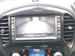 NISSAN JUKE 2010 [SUV] full