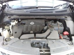 2011 NISSAN MURANO [SUV] full