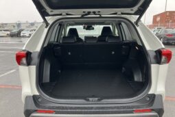 TOYOTA RAV 4 2019 [SUV] full