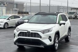 TOYOTA RAV 4 2019 [SUV] full