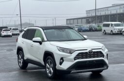 TOYOTA RAV 4 2019 [SUV]