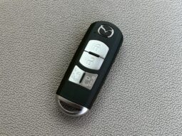 MAZDA BIANTE 2010 [I-STOP SMART EDITION] full