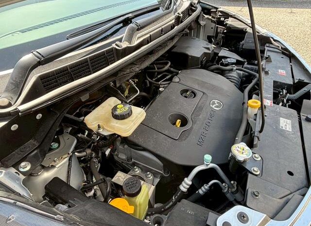 MAZDA BIANTE 2010 [I-STOP SMART EDITION] full