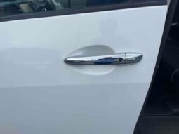 MAZDA BIANTE [20S] 2010 full