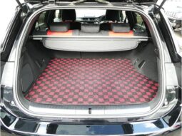 2011 LEXUS CT200H F SPORT [Hatchback] full