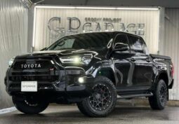 2023 TOYOTA HILUX  3DF-GUN125