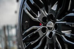 2014 Land Rover Range Rover 4.4 SD V8 Autobiography Auto 4WD Euro 5 5dr full