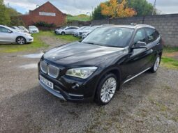 2014 BMW X1 2.0 20d xLine Auto xDrive Euro 5 (s/s) 5dr