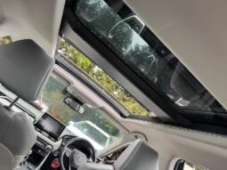 2019 Toyota RAV4 2.5 VVT-h Excel CVT 4WD Euro 6 (s/s) 5dr full