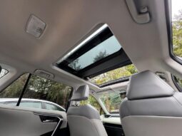 2019 Toyota RAV4 2.5 VVT-h Excel CVT 4WD Euro 6 (s/s) 5dr full