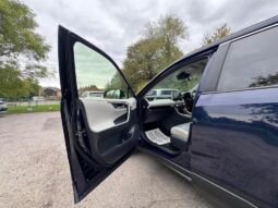 2019 Toyota RAV4 2.5 VVT-h Excel CVT 4WD Euro 6 (s/s) 5dr full