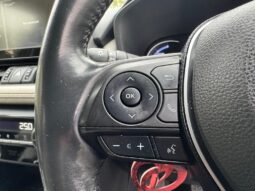 2019 Toyota RAV4 2.5 VVT-h Excel CVT 4WD Euro 6 (s/s) 5dr full