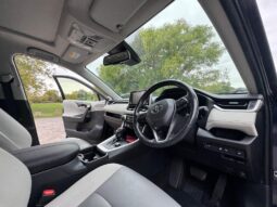 2019 Toyota RAV4 2.5 VVT-h Excel CVT 4WD Euro 6 (s/s) 5dr full